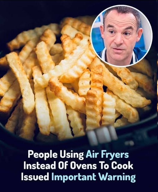 Experts warn: Don’t swap your oven for an air fryer