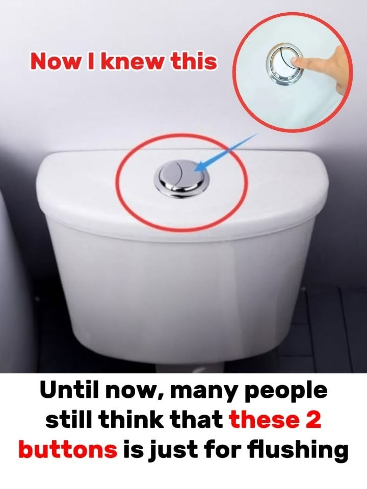 Many People Still Think Those 2 Buttons Are Just for Flushing