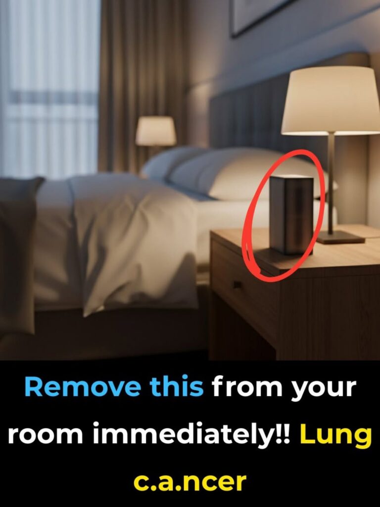 🌬️ Indoor Air Quality: 6 Common Household Items That May Affect Your Lungs