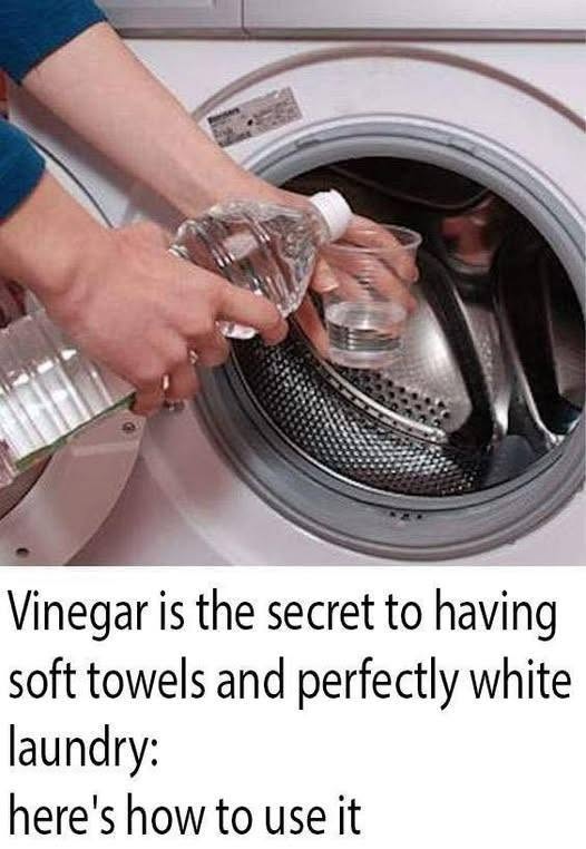 5 Reasons To Add Vinegar to Your Laundry