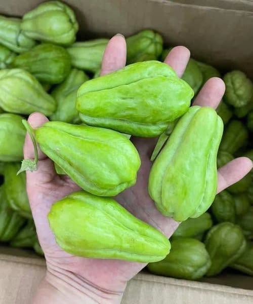 Doctors Reveal That Eating Chayote Causes These 5 Surprising Changes in Your Body