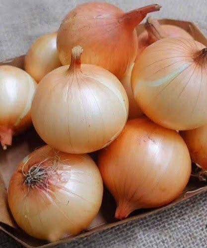 Evidence Based Benefits of Onions Including Nutrition Facts (Science Based) – welcome