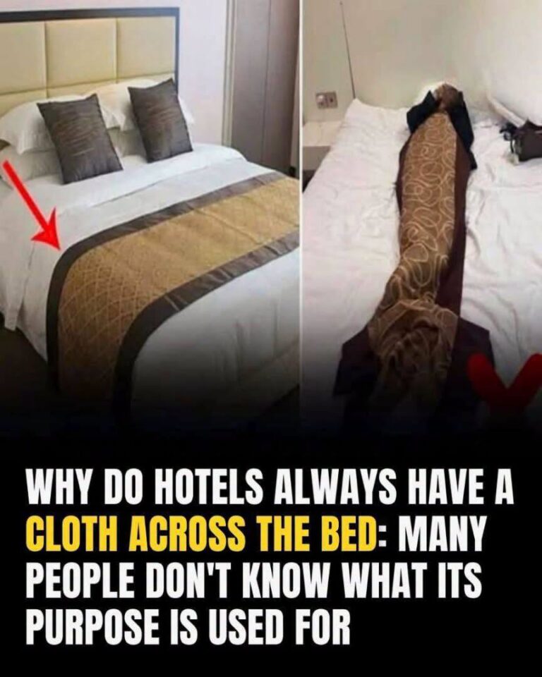 HomeWhat’s The Purpose Of The Fabric Strip Across Hotel Beds? What’s The Purpose Of The Fabric Strip Across Hotel Beds?