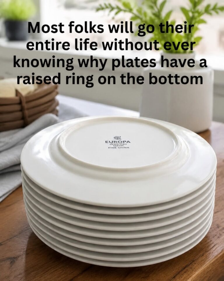Why Plates Have That Ring on the Bottom (And Why It Actually Matters More Than You Think)