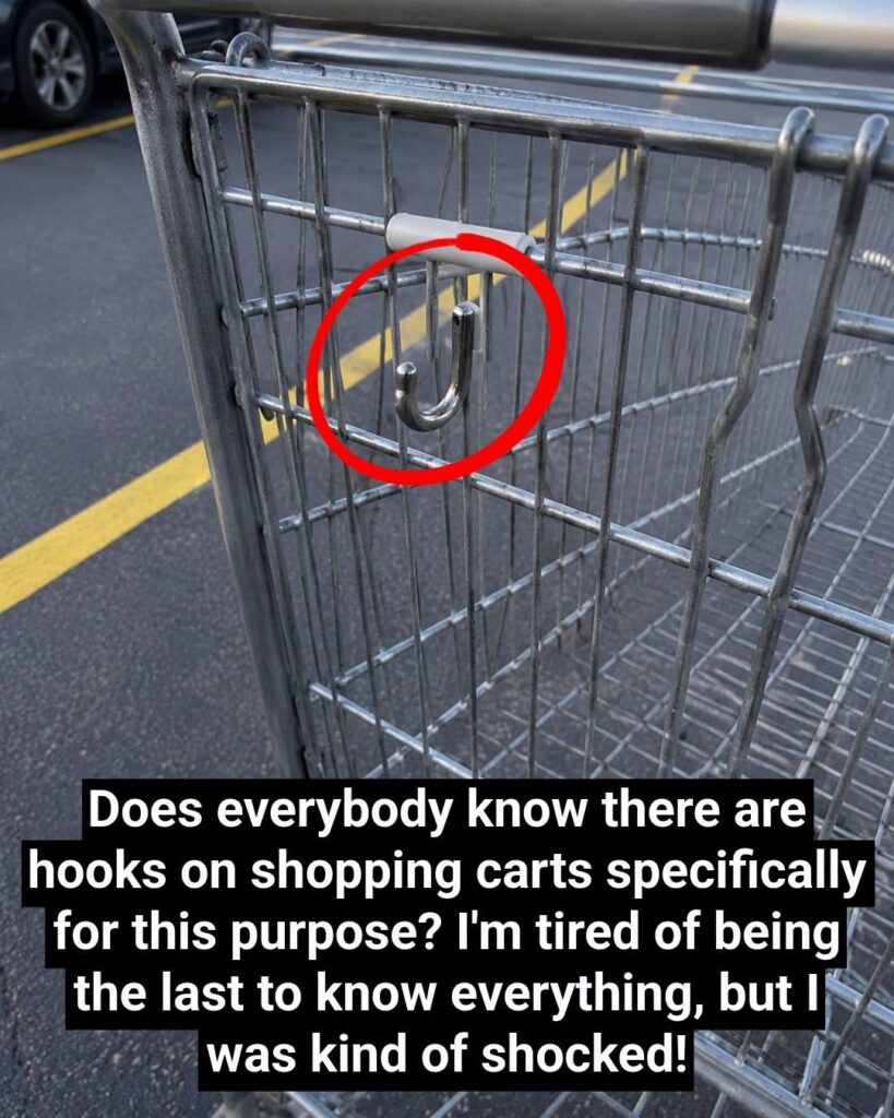 Shoppers Are Surprised by the True Purpose of Shopping Cart Hooks (And the Hidden Helpers in Our Daily Errands)
