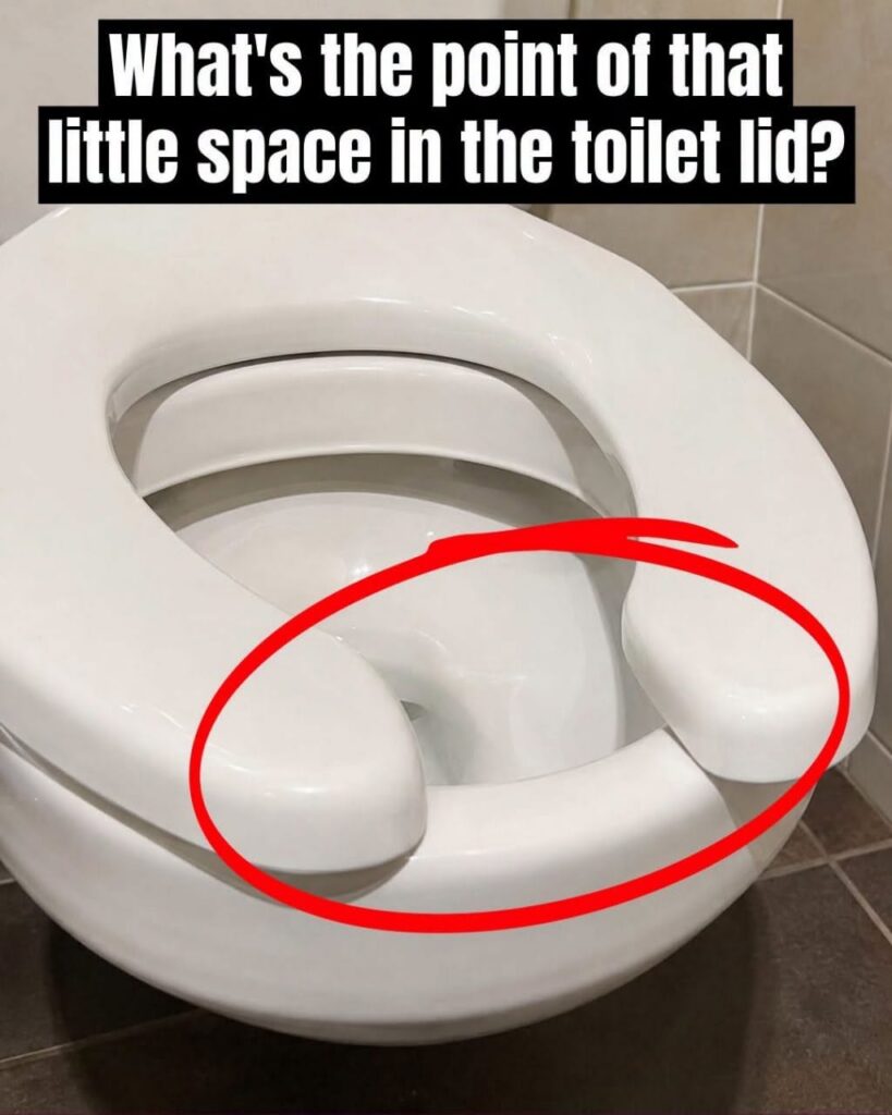Have You Ever Wondered Why Public Restrooms Have U-Shaped Toilets?