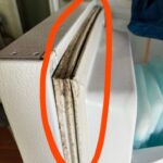 How to Clean Black Mold from a Refrigerator Gasket in Minutes