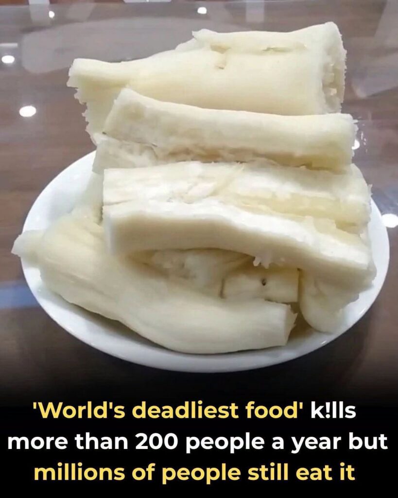 Over 200 People Are Killed By The “World’s Deadliest Food” Every Year, But Almost 500 Million People Still Eat It
