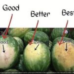 Mastering the Art of Choosing the Perfect Watermelon: Your Ultimate Guide to Sweetness and Ripeness