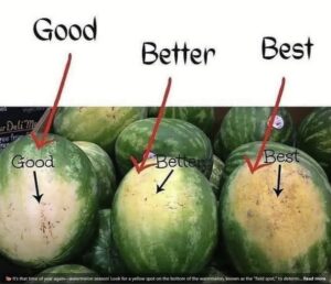Mastering the Art of Choosing the Perfect Watermelon: Your Ultimate Guide to Sweetness and Ripeness