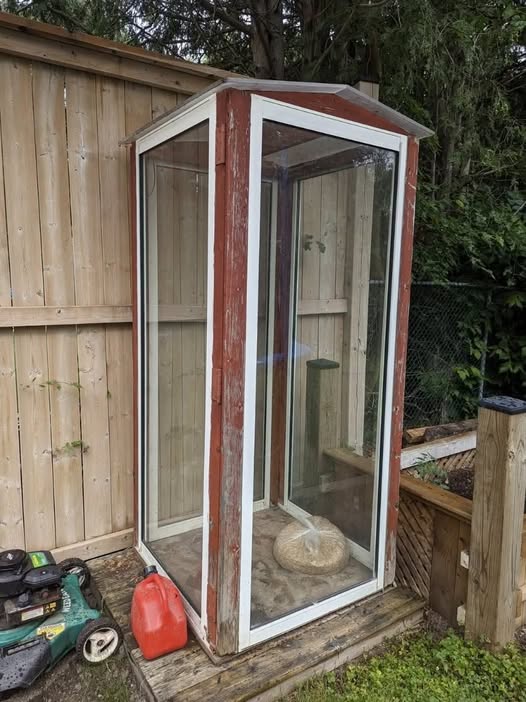 The Magical Return of the Backyard Mushroom House: Why This Forgotten Garden Gem Deserves a Comeback