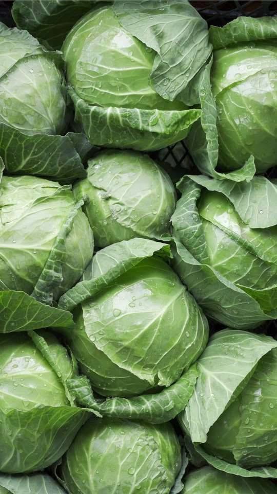 The Unsung Hero of the Produce Aisle: Why Doctors Are Obsessed with Cabbage (Plus a Recipe You’ll Actually Crave)