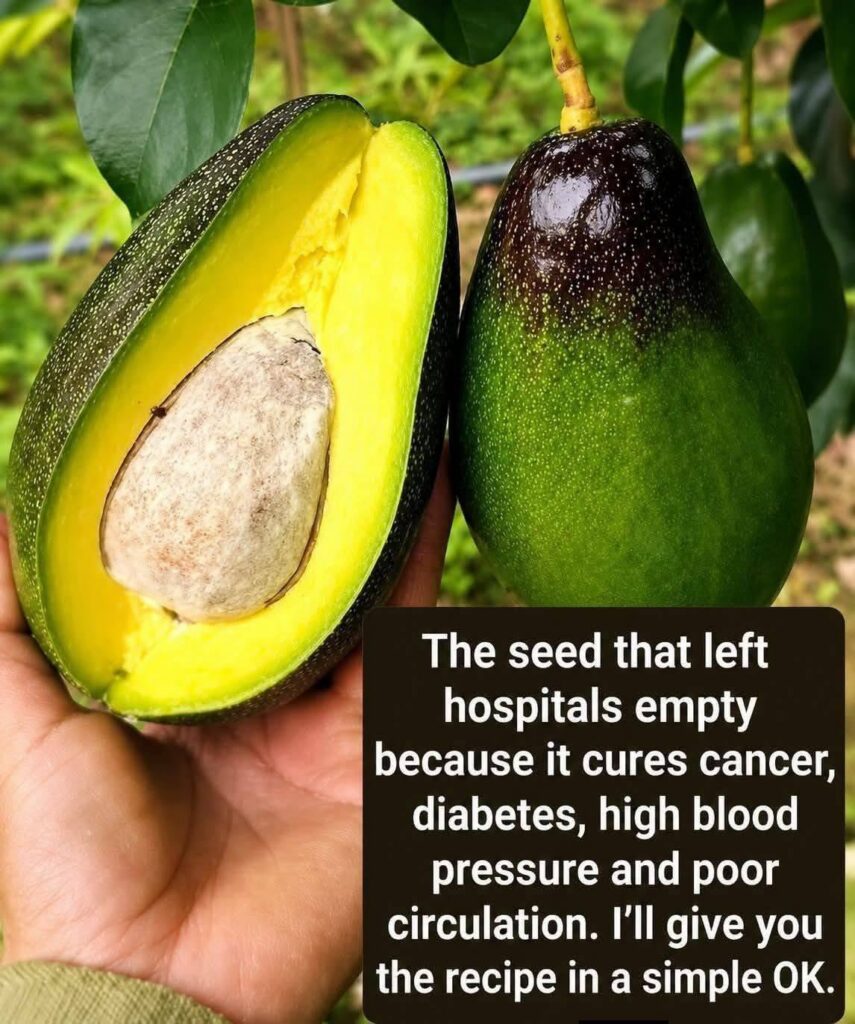 Amazing Benefits of Avocado: Why This Superfood Deserves a Place in Your Daily Diet