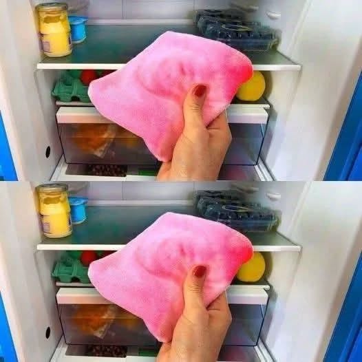 Why should you keep rags in the fridge – welcome