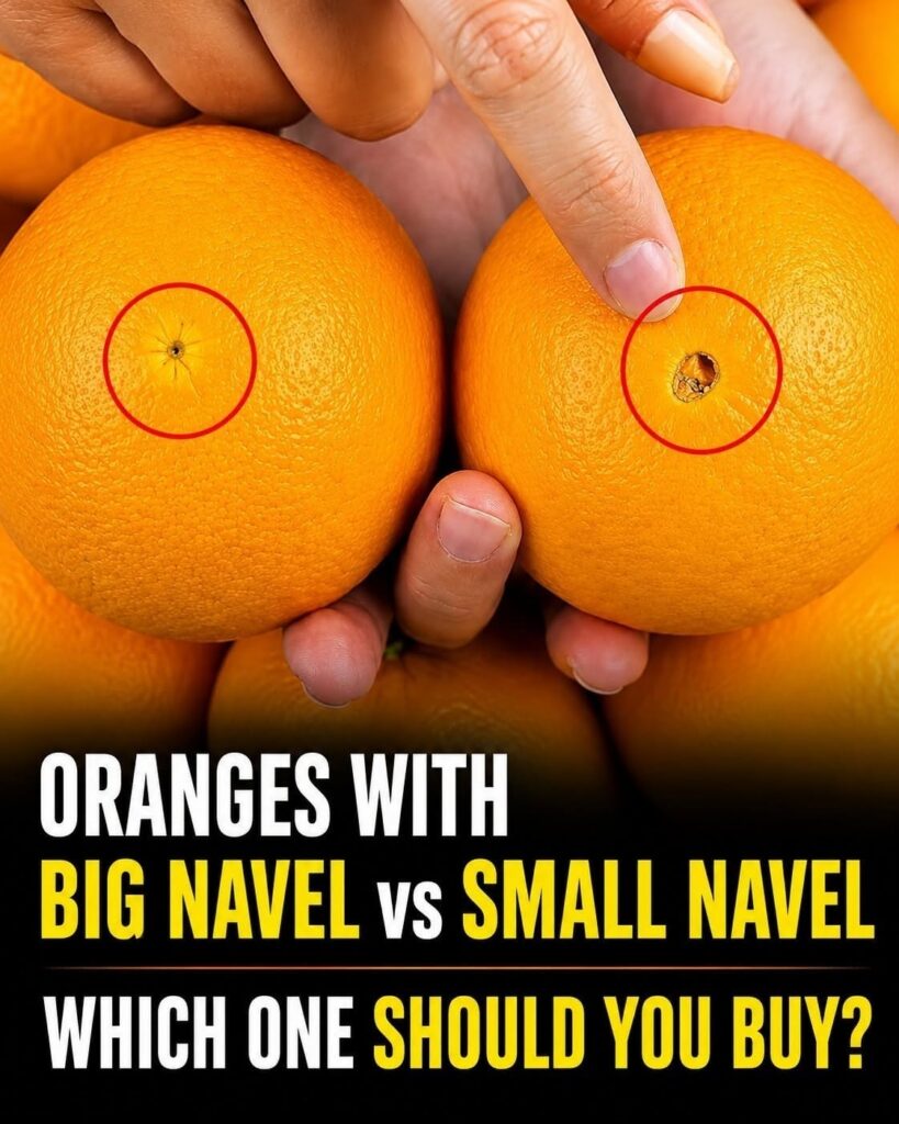 Big Navel or Small Navel? Here’s How to Pick the Sweetest, Juiciest Oranges Every Time