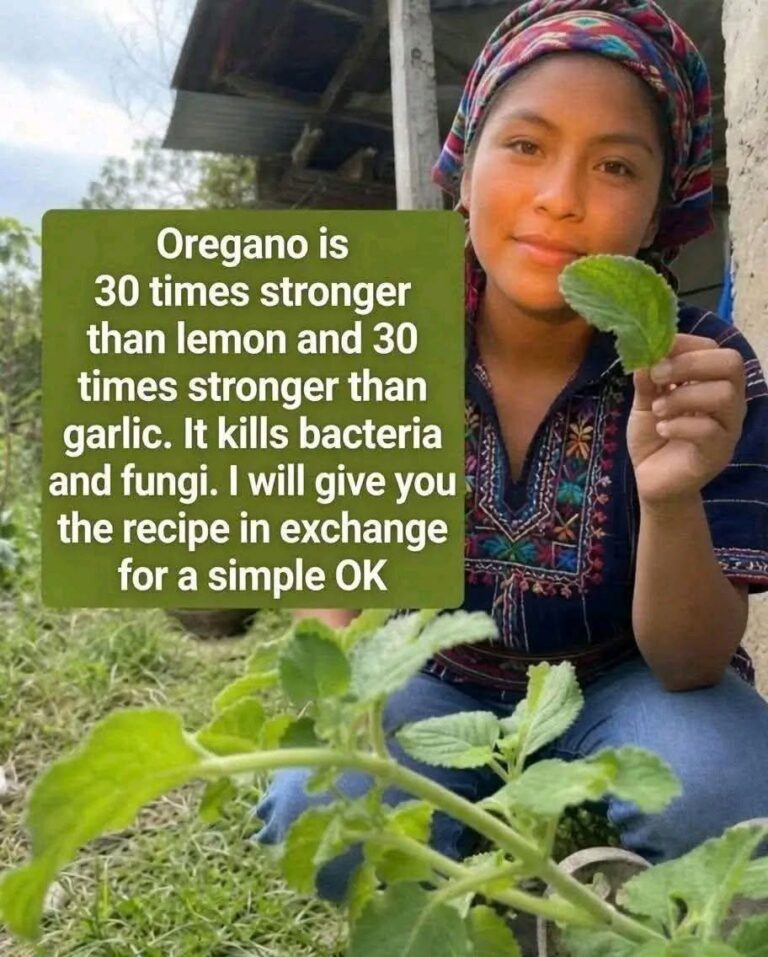 Oregano Tea Recipe for Natural Wellness