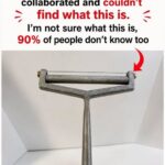 The Mysterious Kitchen Tool That Left the Internet Guessing: Do You Know What It Is?