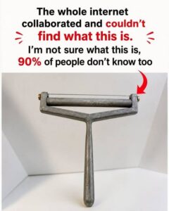 The Mysterious Kitchen Tool That Left the Internet Guessing: Do You Know What It Is?
