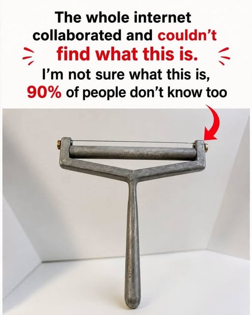 The Mysterious Kitchen Tool That Left the Internet Guessing: Do You Know What It Is?