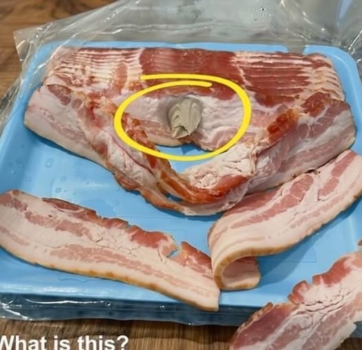 I went to the store and bought some bacon, brought it home to eat. When I opened the package and took a few slices, I found this in the bacon. Honestly, my appetite disappeared instantly. I’ve been sitting in the kitchen for half an hour staring at it, trying to figure out what it is. Does anyone know what this could be? Check the first comment for the answer