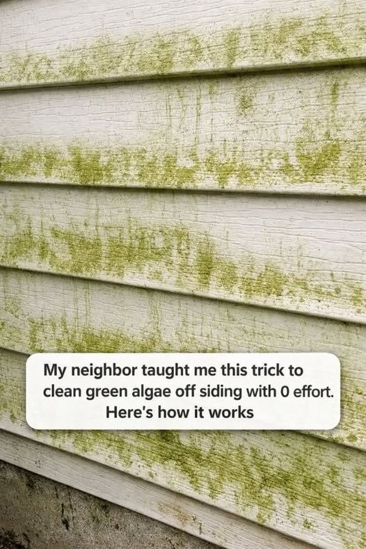 My neighbor taught me this trick to clean green algae off siding with 0 effort. Here’s how it works