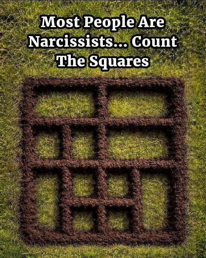How Many Squares Can You Spot? What Counting Squares Reveals About Your Personality